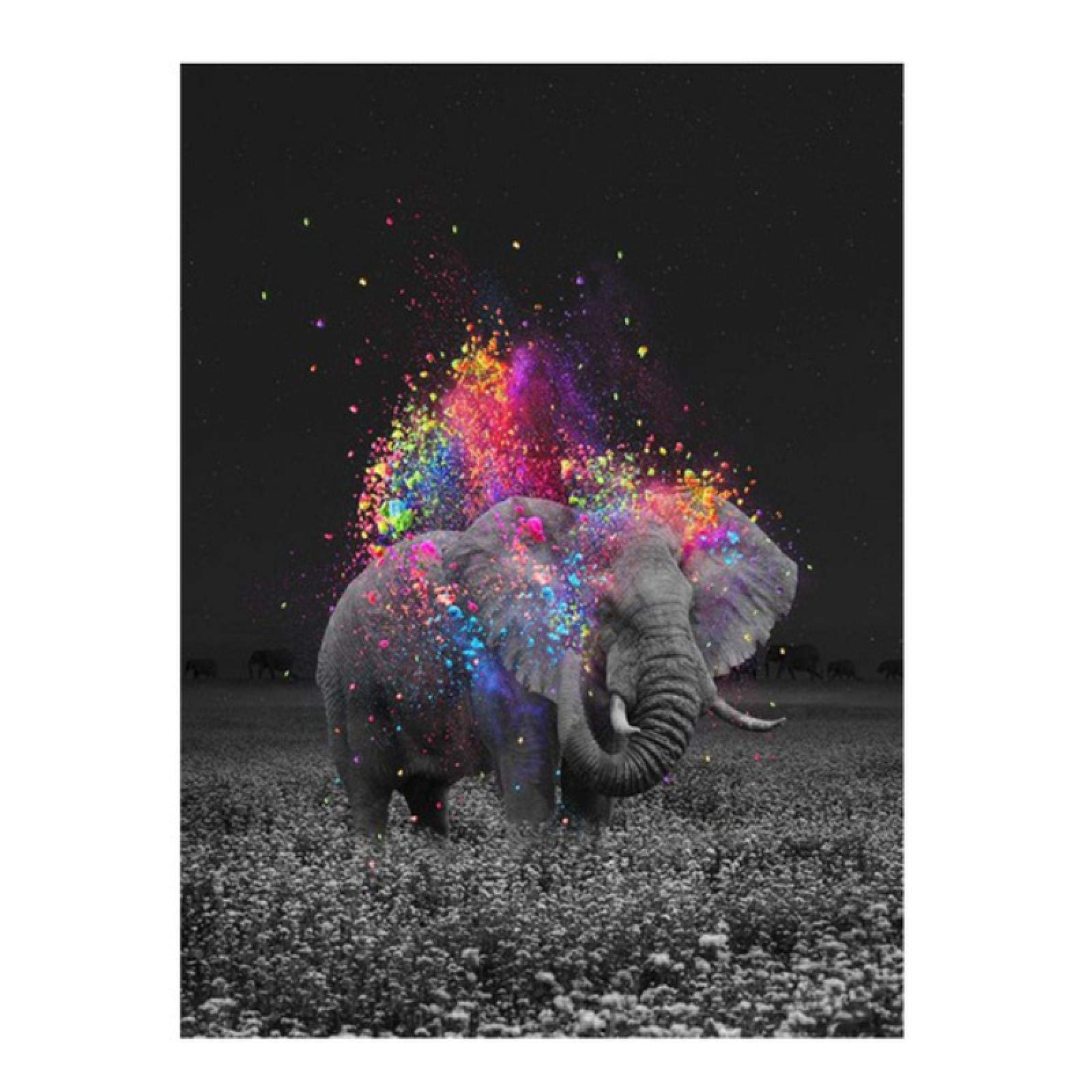 カラフルな象の絵画　フレーム付き アクリル画 原画 B5サイズ Amazon.co.jp: カラフルなファンタジー象のキャンバスの絵画動物